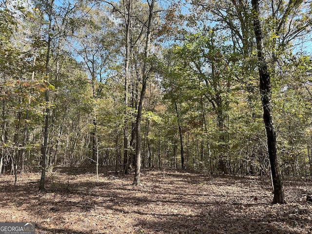 50 Hearthstone Dr, Carlton, GA 30627