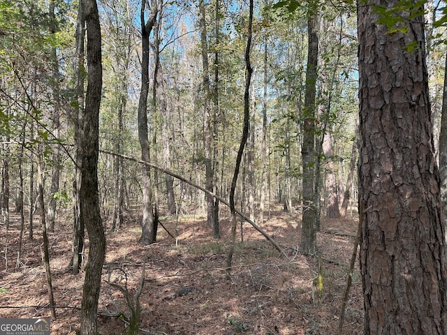 50 Hearthstone Dr, Carlton, GA 30627