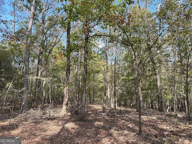 50 Hearthstone Dr, Carlton, GA 30627