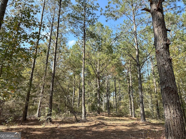 50 Hearthstone Dr, Carlton, GA 30627