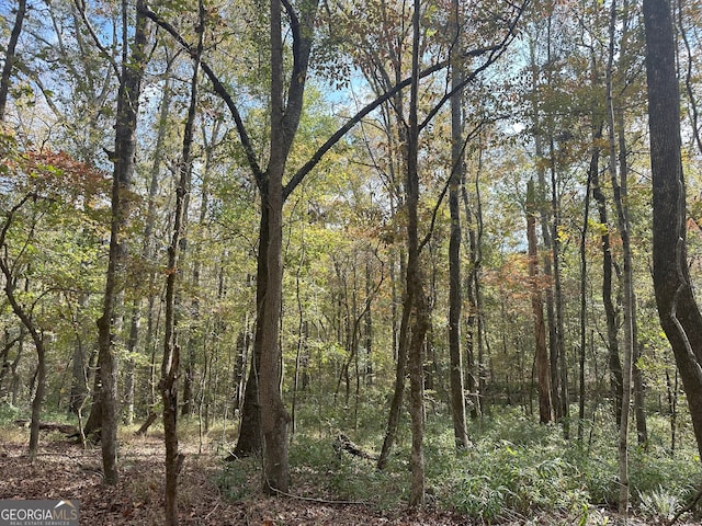 50 Hearthstone Dr, Carlton, GA 30627