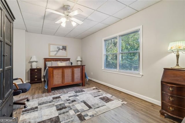 bedroom with ceiling fan, light hardwood / wood-style floors, and a drop ceiling