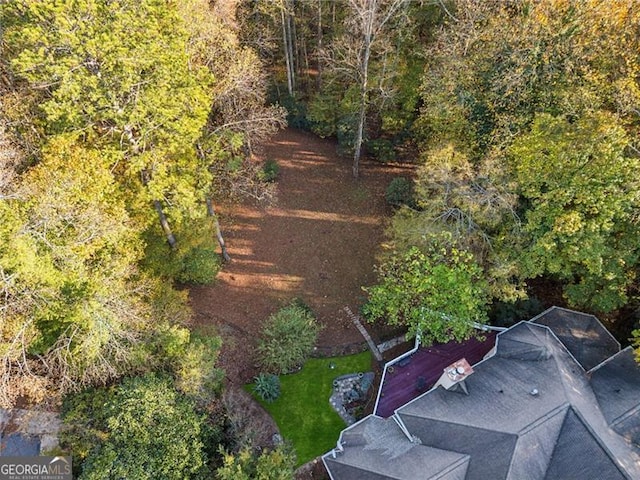 456 N Saint Marys Ln, Marietta, GA 30064 - view from above of property