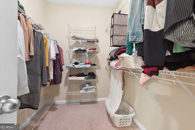 walk in closet featuring carpet flooring