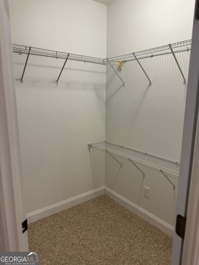 spacious closet with carpet