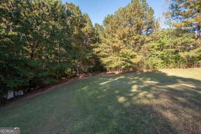 50 Carthedge Trce, Newnan, GA 30263 - view of yard featuring a view of trees