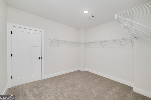 walk in closet featuring carpet floors