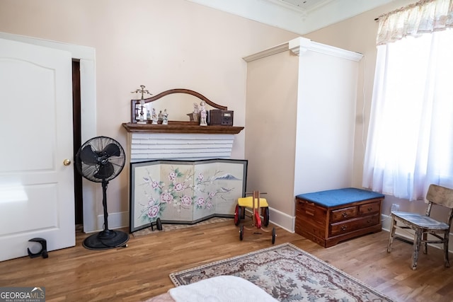 sitting room featuring light hardwood / wood-style floors and ornamental molding