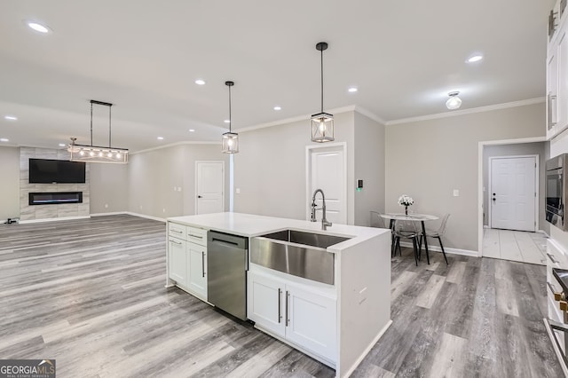 kitchen featuring light hardwood / wood-style floors, white cabinetry, sink, and appliances with stainless steel finishes