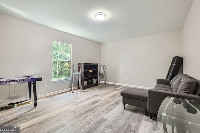 sitting room featuring light wood-type flooring