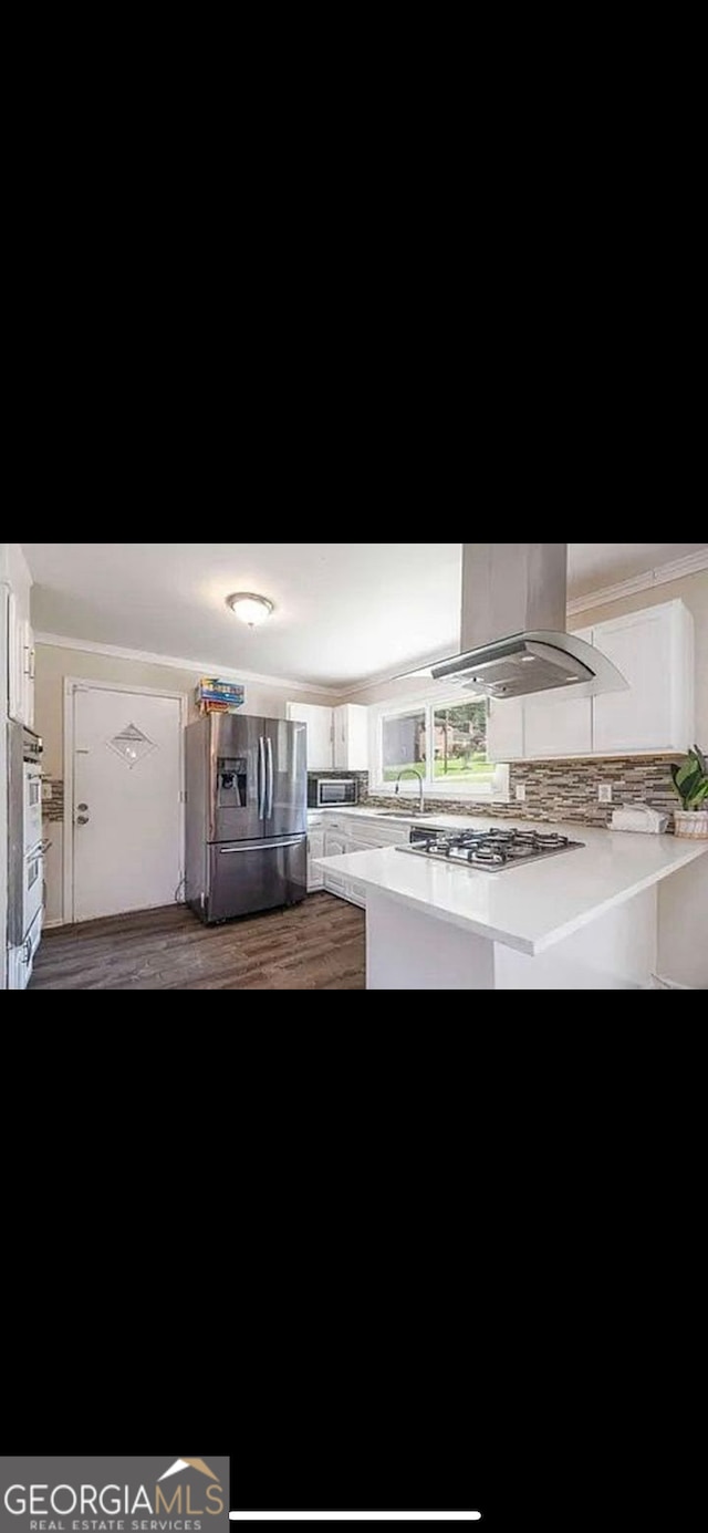 kitchen featuring island exhaust hood, decorative backsplash, white cabinets, appliances with stainless steel finishes, and dark hardwood / wood-style flooring