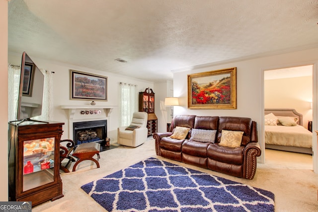 carpeted living room featuring crown molding and a textured ceiling