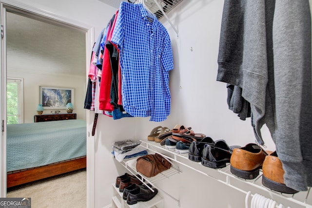 spacious closet with carpet