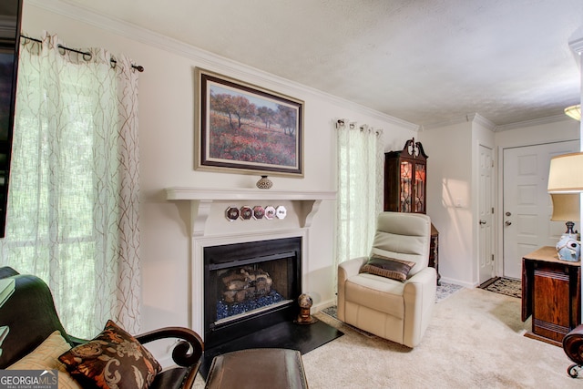 living area featuring ornamental molding, a textured ceiling, and carpet flooring