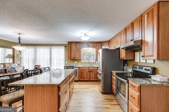 kitchen featuring pendant lighting, light hardwood / wood-style floors, appliances with stainless steel finishes, and plenty of natural light