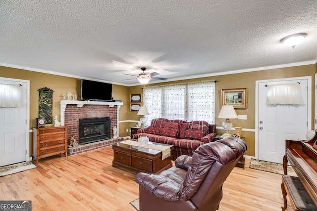 living room featuring light hardwood / wood-style floors, crown molding, and a textured ceiling