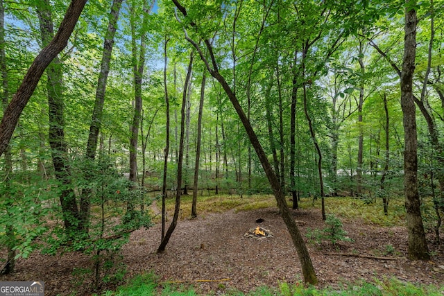 view of local wilderness