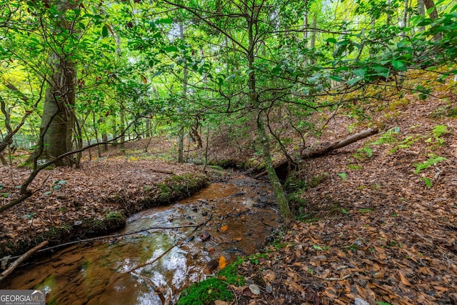 view of nature