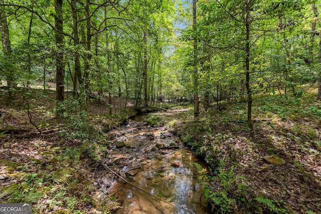 view of local wilderness