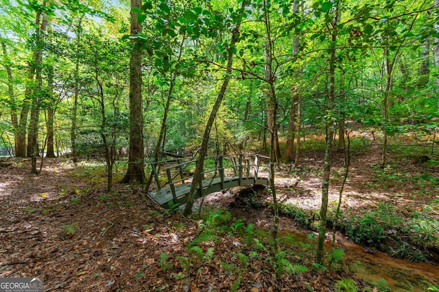 view of local wilderness