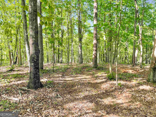 5323 Cedartown Hwy, Lindale GA, 30147 land for sale