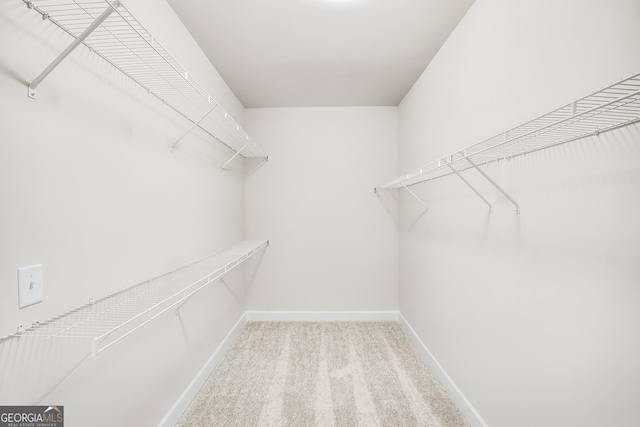 walk in closet with light carpet