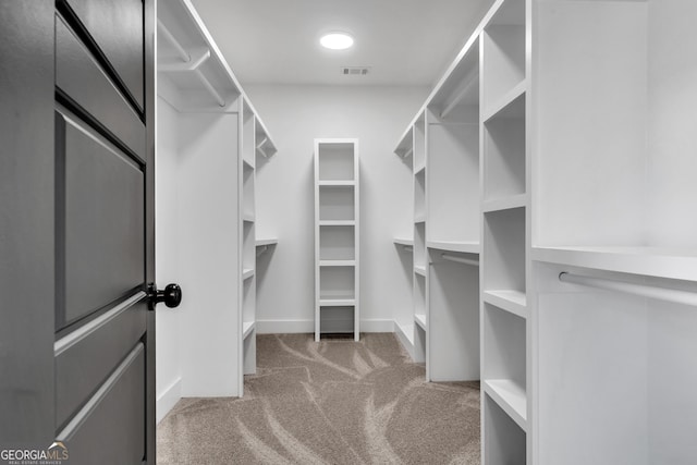 417 Lakeview Pl, Macon, GA 31211 - spacious closet with carpet floors