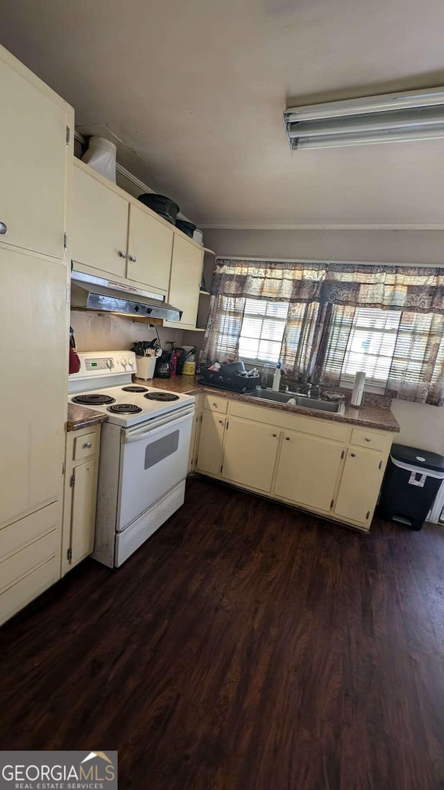 kitchen with dark hardwood / wood-style floors, white electric range oven, and sink