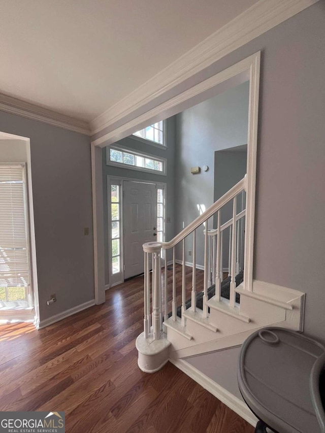 foyer entrance with dark wood-type flooring, crown molding, and plenty of natural light