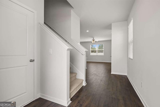 stairway featuring hardwood / wood-style flooring and ceiling fan