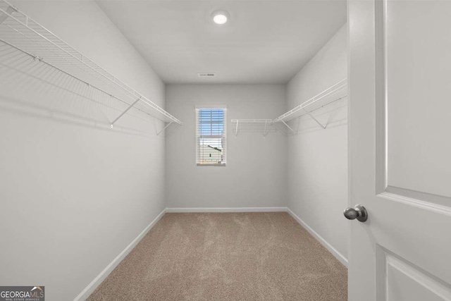 walk in closet with carpet