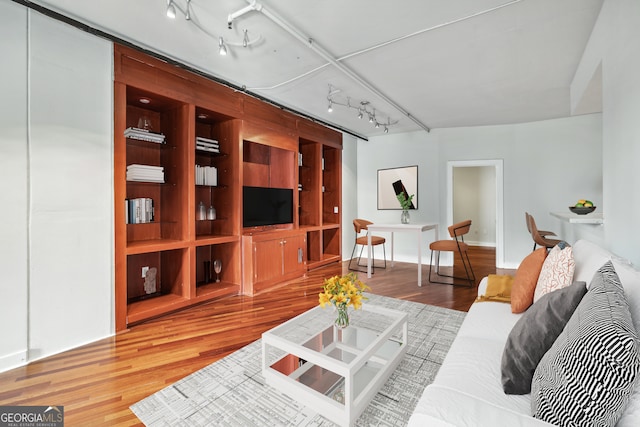 living room featuring wood-type flooring