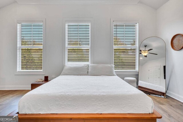 bedroom with light hardwood / wood-style flooring, ceiling fan, vaulted ceiling, and multiple windows