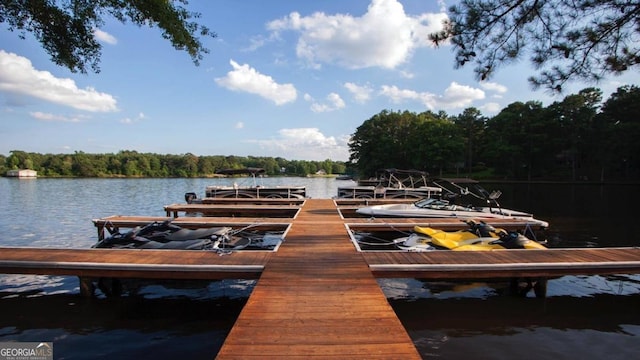 dock area with a water view