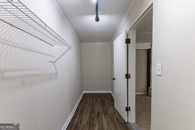 spacious closet with dark hardwood / wood-style floors