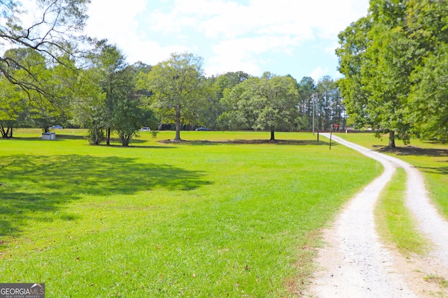 view of property's community with a yard