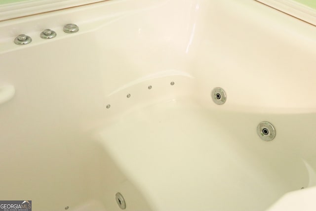 interior details featuring a bathtub