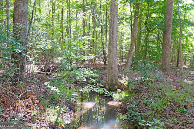 view of local wilderness