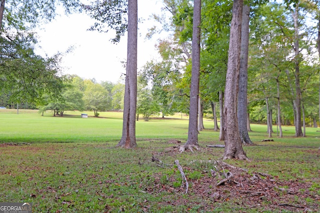 view of community featuring a lawn