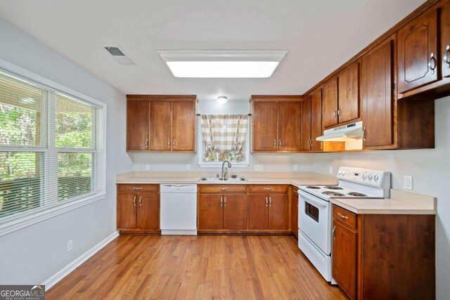 kitchen featuring light hardwood / wood-style floors, sink, and white appliances