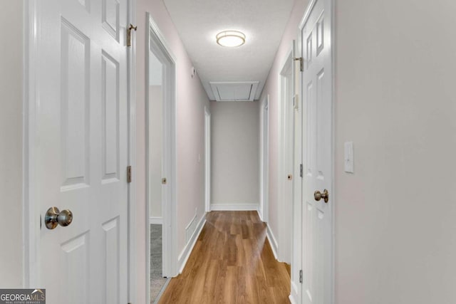 hallway with a textured ceiling and light hardwood / wood-style floors