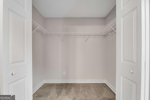 spacious closet featuring carpet