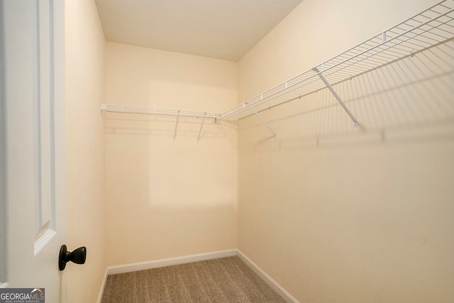 spacious closet with carpet flooring