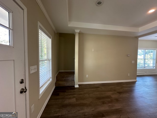 foyer entrance featuring dark hardwood / wood-style flooring, ornamental molding, and plenty of natural light