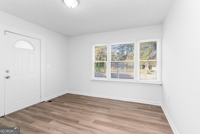 entrance foyer featuring wood-type flooring and a healthy amount of sunlight