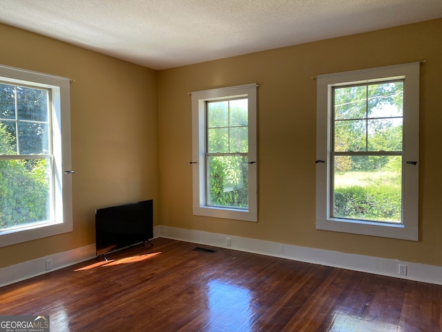 spare room featuring dark hardwood / wood-style flooring, a textured ceiling, and plenty of natural light