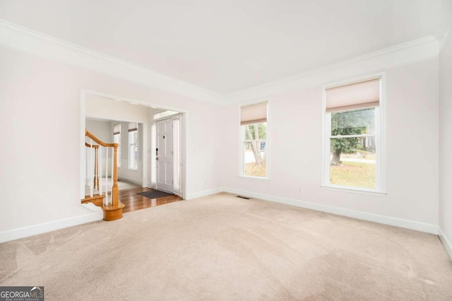 empty room with crown molding and carpet flooring