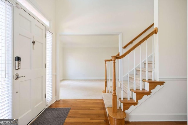 foyer featuring wood-type flooring