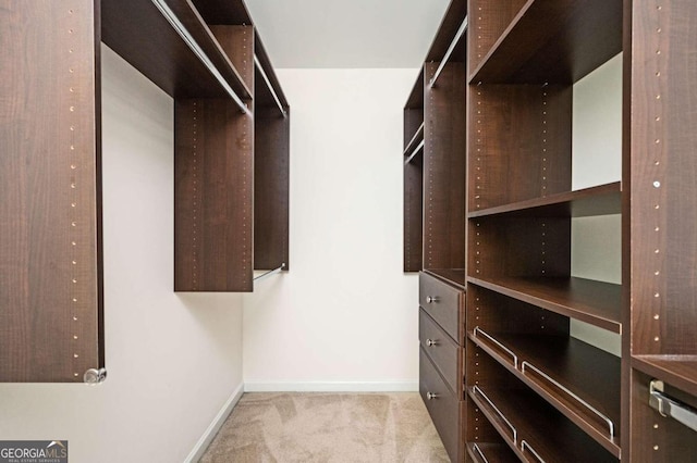 spacious closet with light carpet