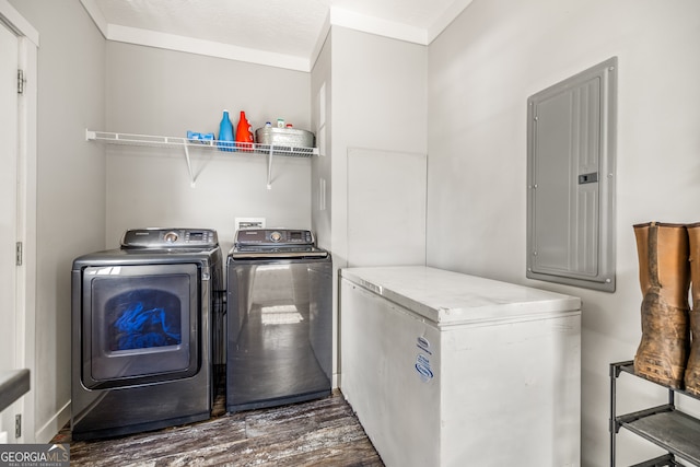 laundry area featuring electric panel, crown molding, washer and clothes dryer, a textured ceiling, and dark hardwood / wood-style flooring